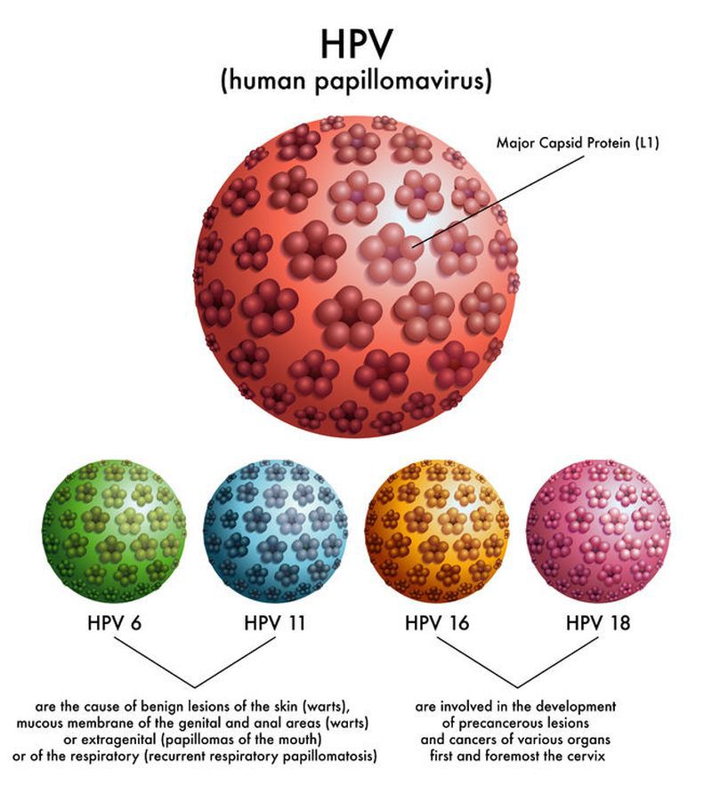 راه‌های انتقال ویروس HPV