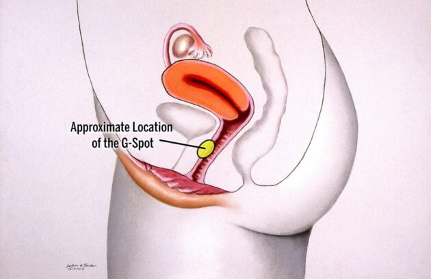 تزریق فیلر در نقطه G